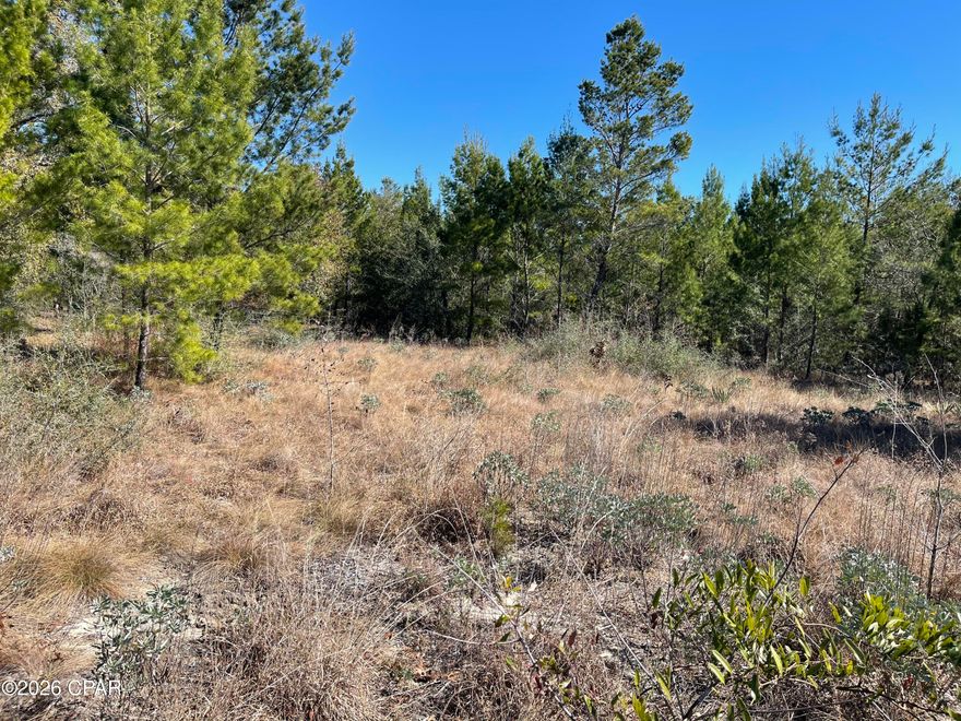 Join the growing Sunnyhills community! This mostly cleared lot is waiting for your dream home to be built upon it. It has the perfect amount of seclusion. Sunnyhills has multiple lakes for fishing, swimming, boating, a golf course, and trails everywhere if you like exploring. 
This property is located 15 minutes from Chipley and only 35 minutes from Panama City, shopping, dining, and the world's most beautiful beaches.