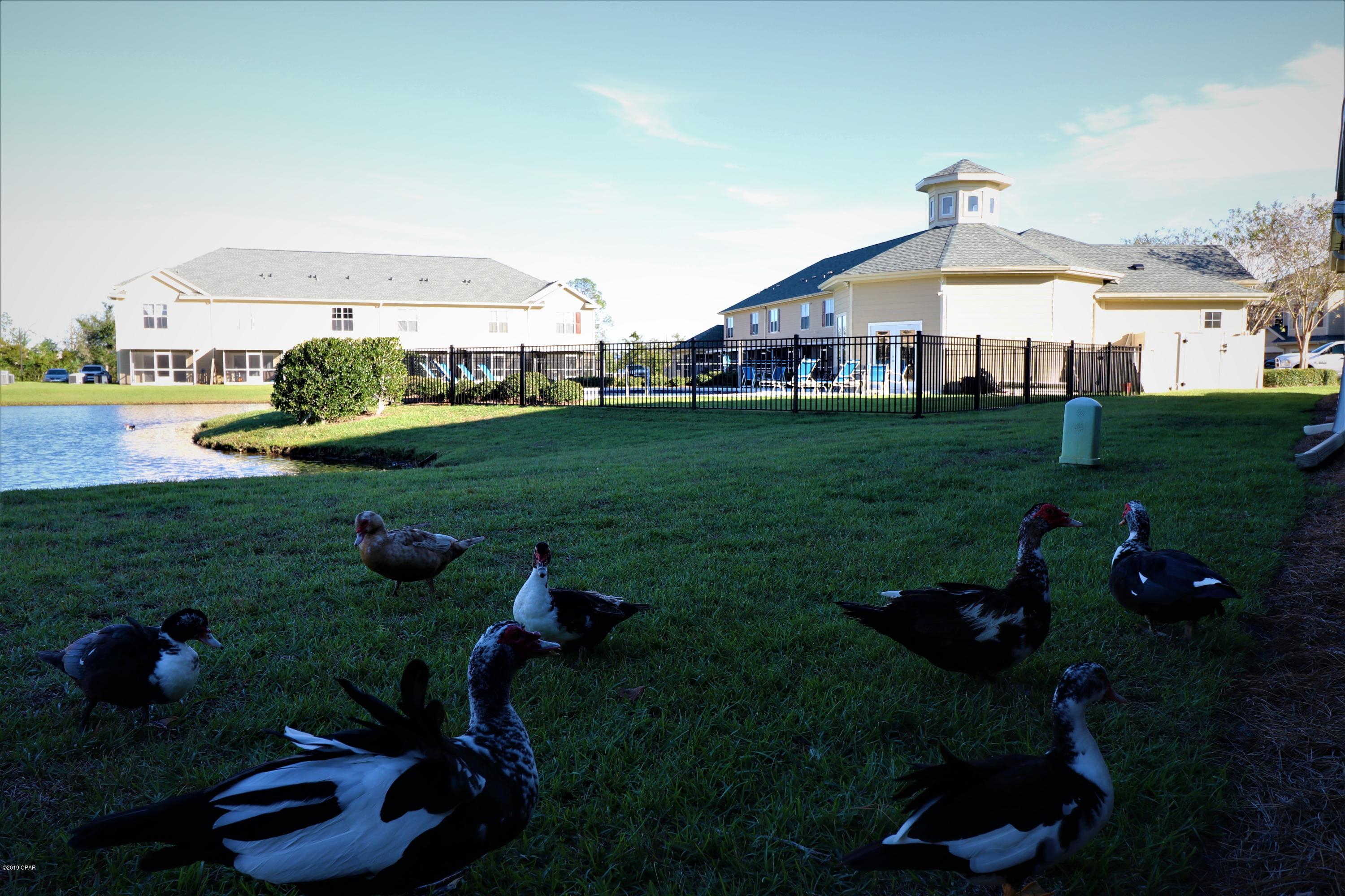 Baldwin Rowe - Residential