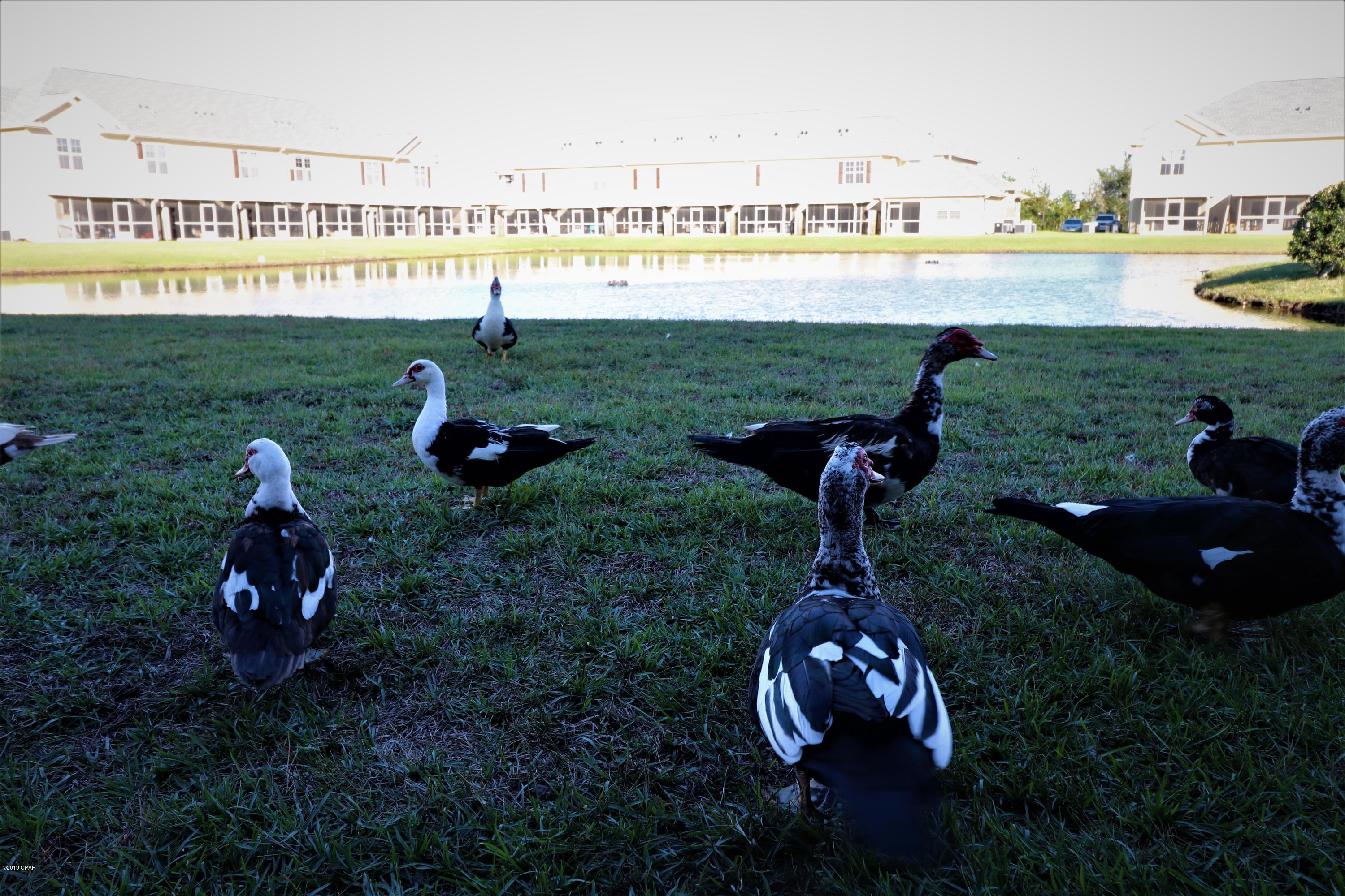 Baldwin Rowe - Residential