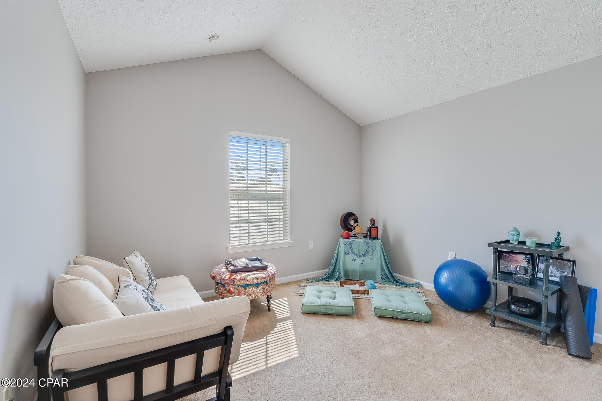 Palmetto Ridge - Residential