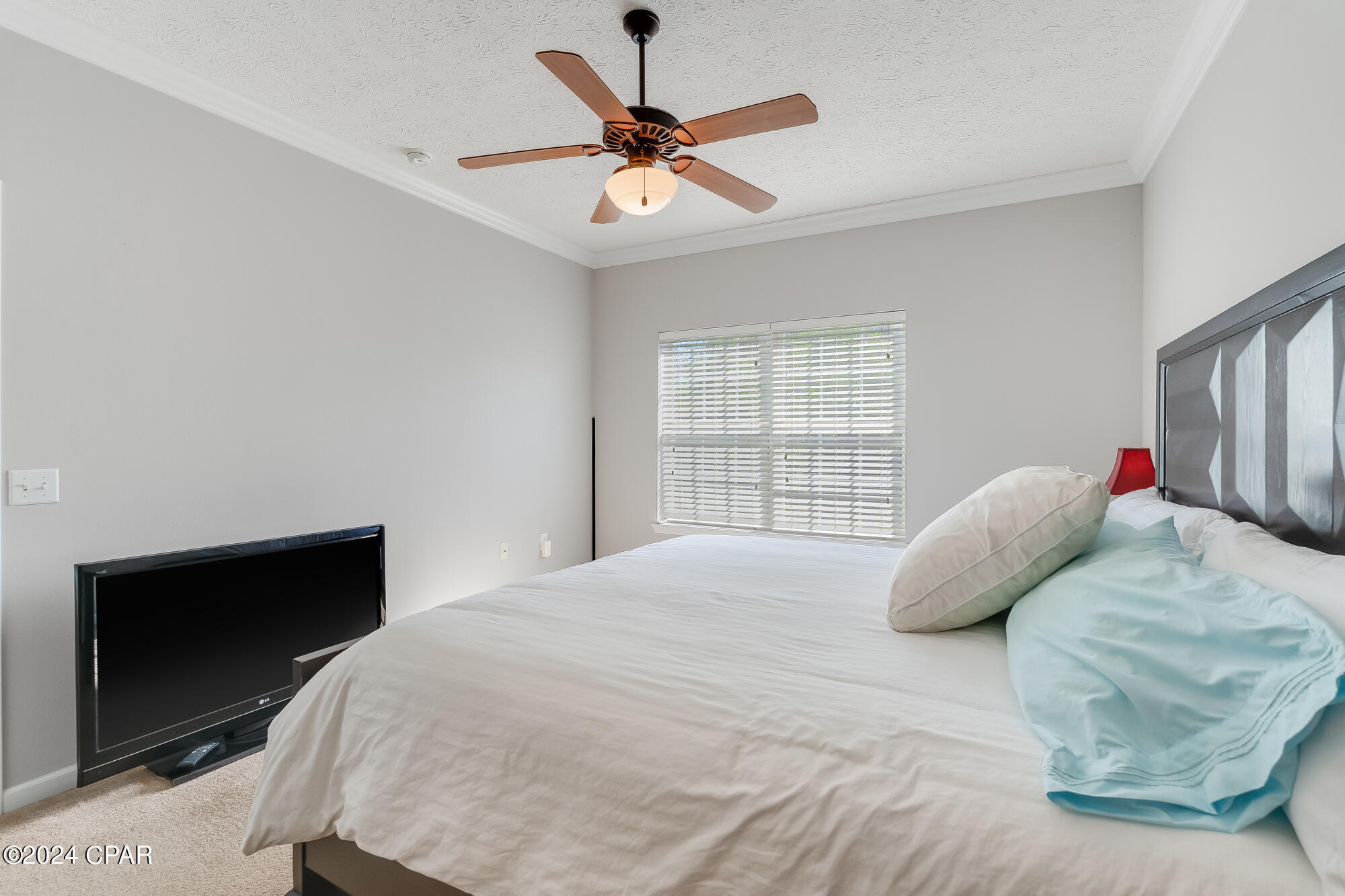 Palmetto Ridge - Residential