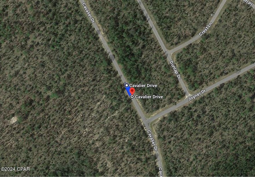 Seller has 2 adjoining lots to sell...with power lines already on Cavalier Drive. This is lot 18 and it is .544 acres. Lot 19 is adjoining and is also .544 acres. The 2 lots total 1.088 acres together. EACH lot is priced at $12,000. Seller prefers to sell them together. Nice building lots for single-family homes in the quickly growing subdivision of Sunny Hills!! ...what are you waiting for...Sunny Hills boasts the magnificent Sunny Hills Golf and Country Club!! No time frame to build in...homes only subdivision, no mobile homes...no HOA!! Come build your dream home now!! Don't miss out, call today!!!