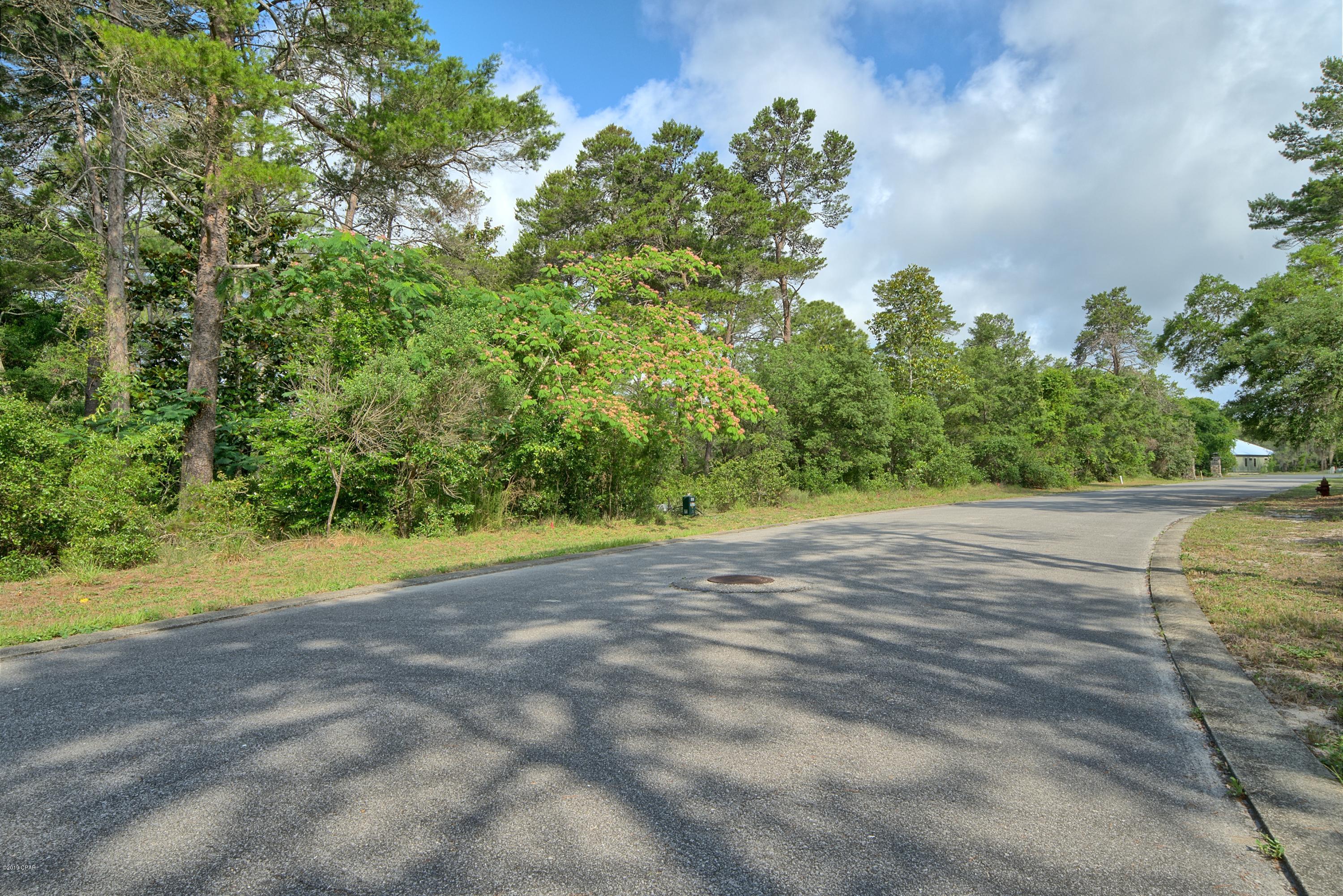 Sanctuary Beach - Land