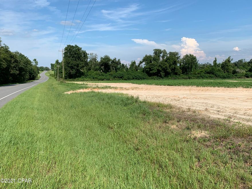 144 acres of row cropland and 98.74 acres of woods and pond. A lot of paved road frontage. Good deer & dove hunting.