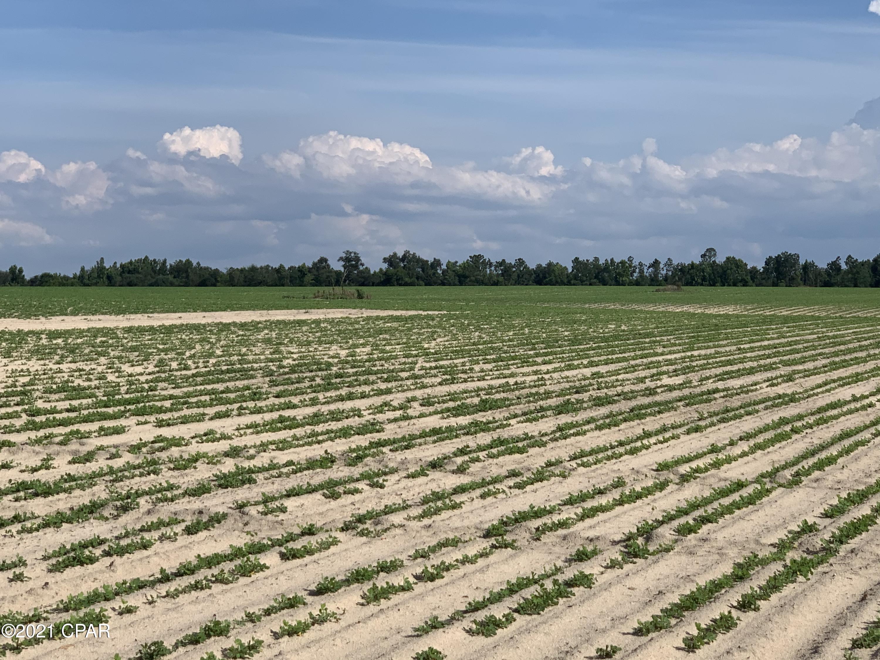 [No Recorded Subdiv] - Land