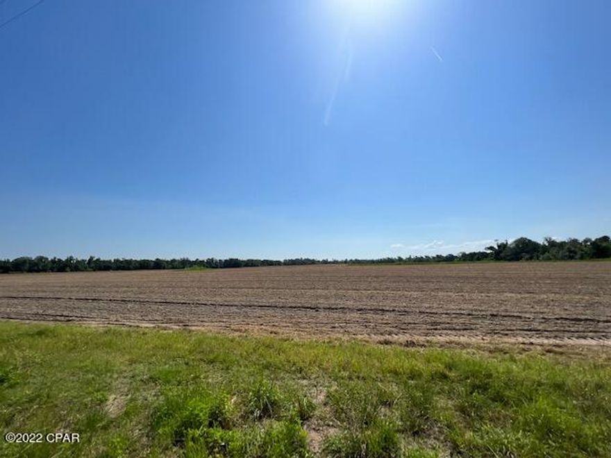 If you are looking for a nice piece of land to farm on or even build your dream home, this is the piece for you. This parcel has limitless potential. Call today for your appointment.