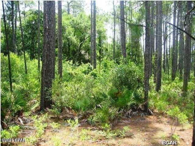 Wild Heron Phase I - Land