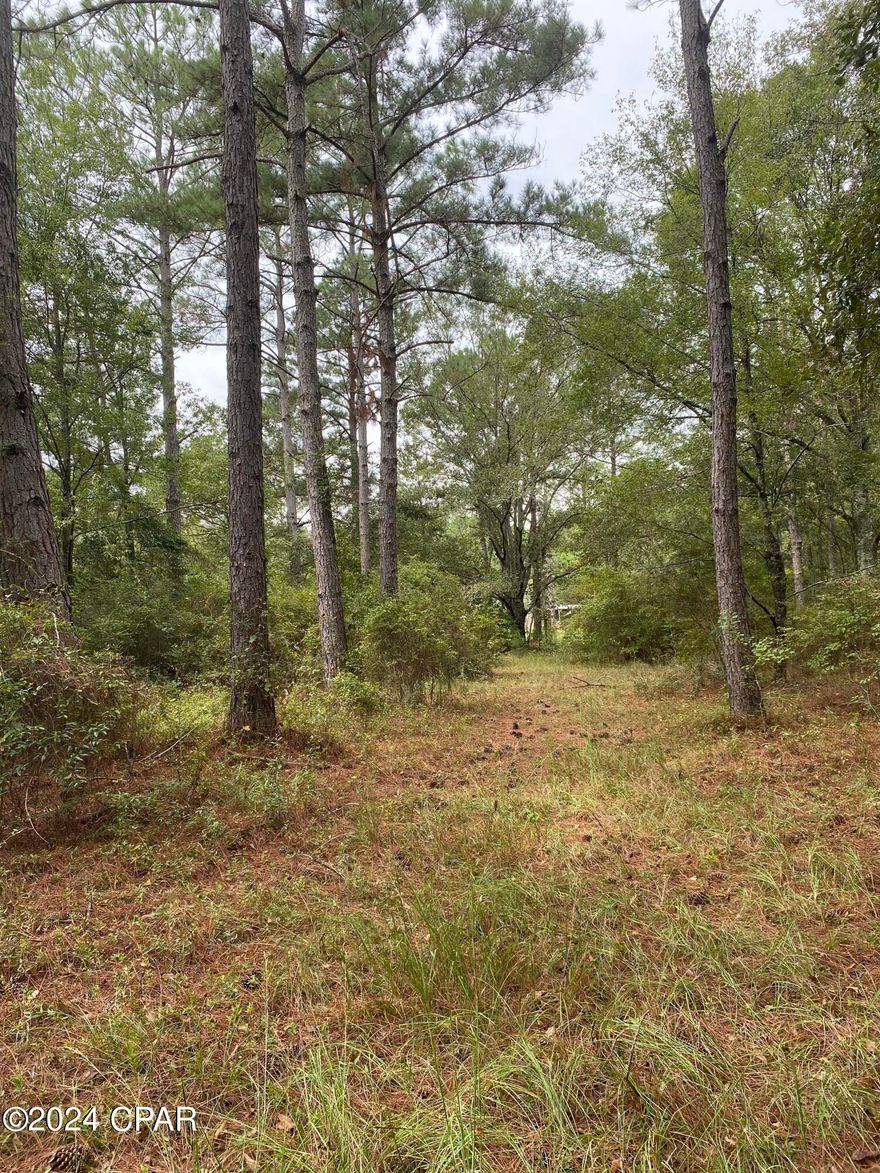 Beautiful 5 acre buildable tract of land, lightly wooded with a mixture of pines and hardwoods. Located on a lightly traveled paved county road only 6 miles to downtown Chipley, 10 miles to downtown Graceville and 9.5 miles to Bonifay. Plenty of privacy with a beautiful country setting!