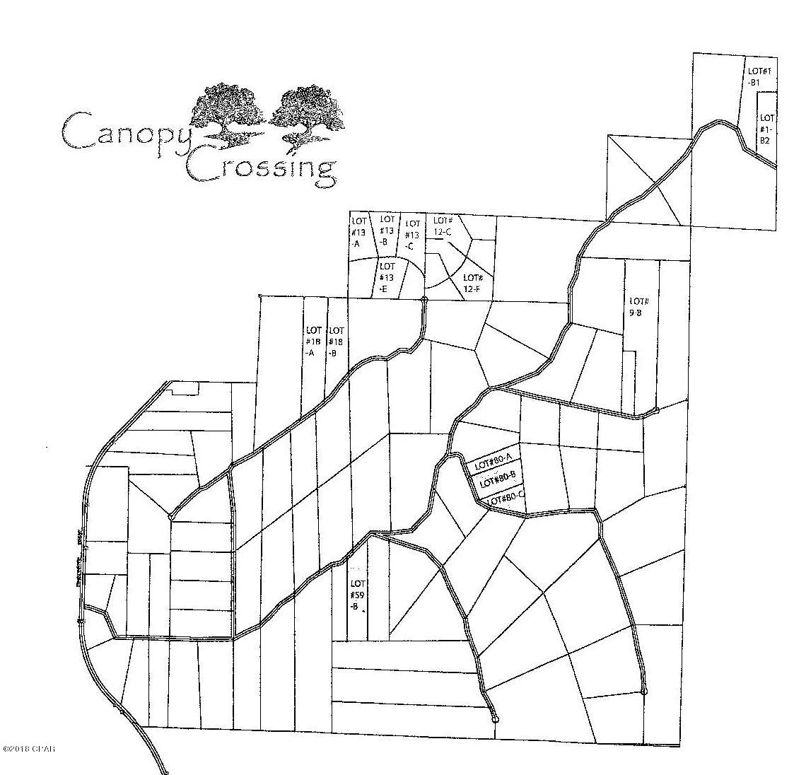 Canopy Crossing - Land