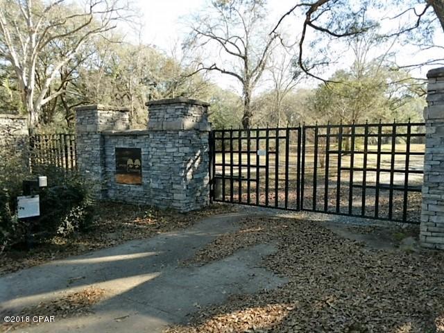 Canopy Crossing - Land