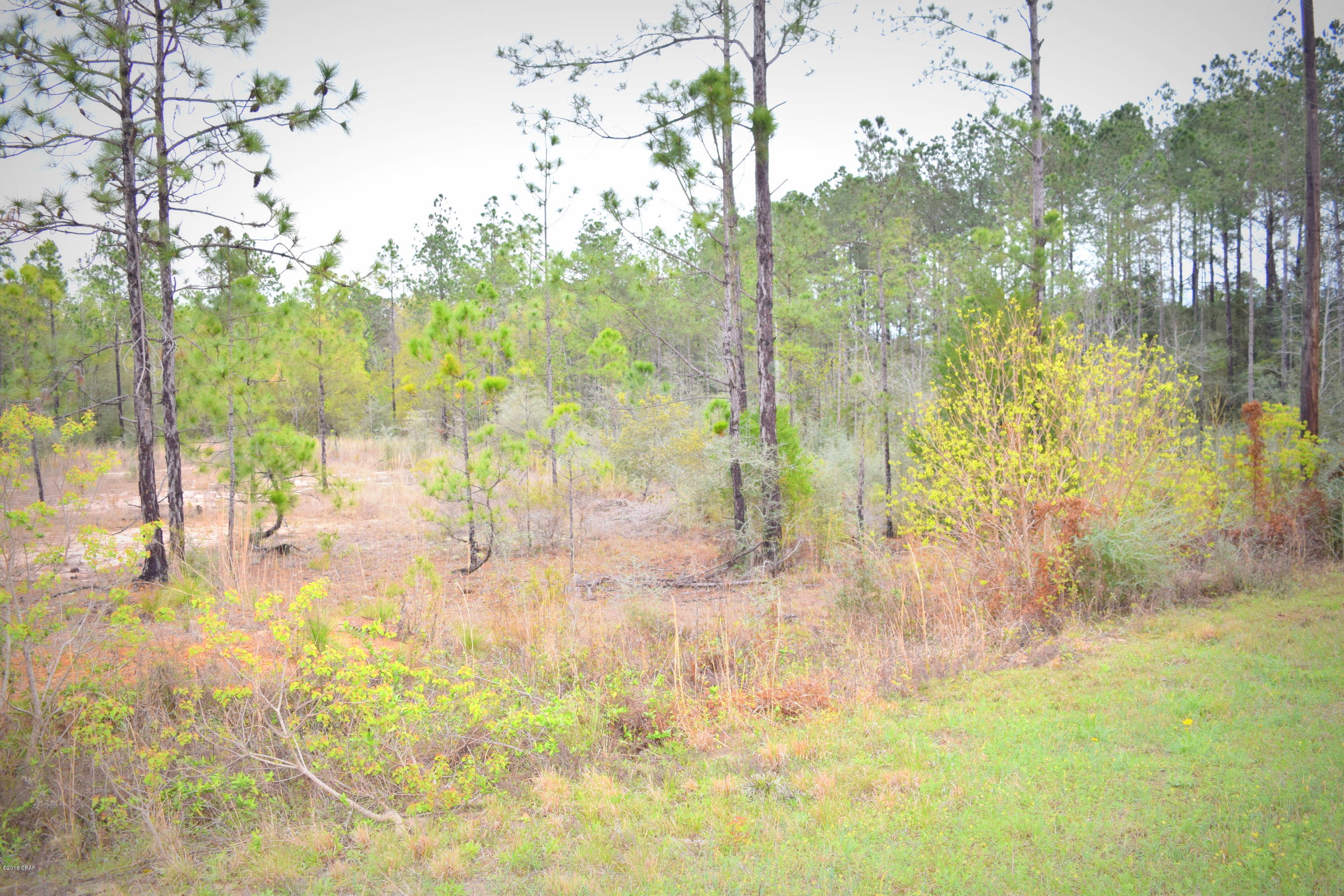 No Named Subdivision - Land