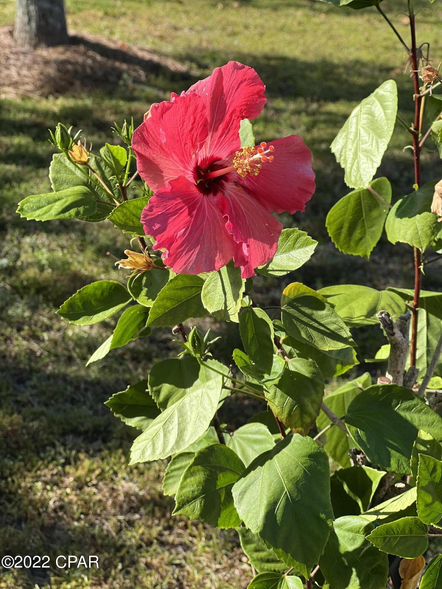 Bylsma Manor Estates - Residential