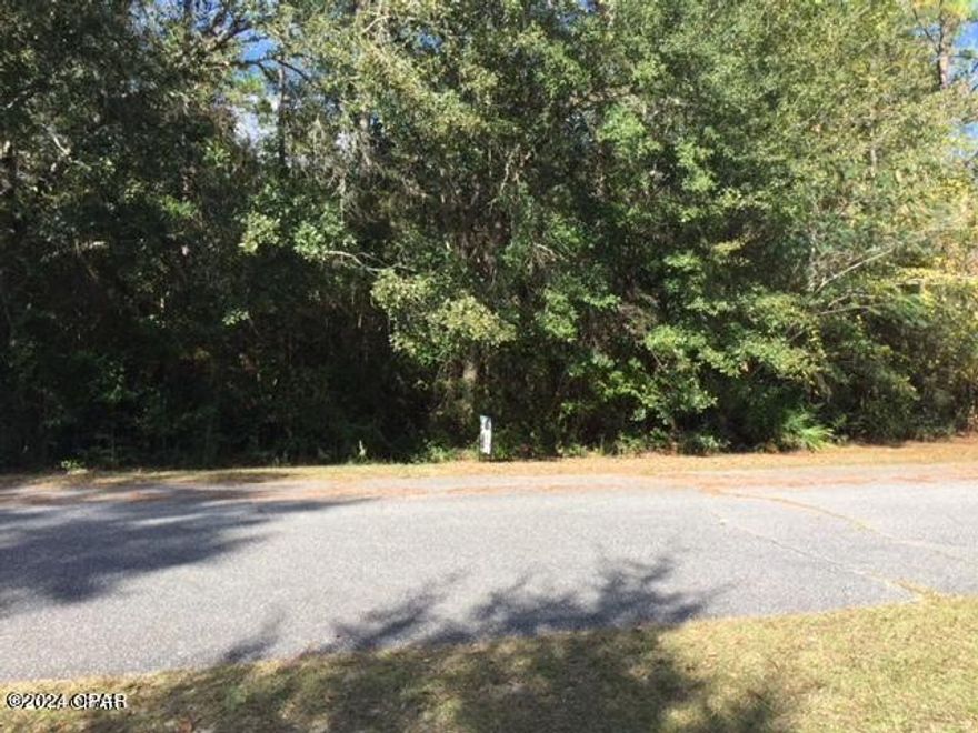 Great lot over 1 acre to build your new home on.  R-2 Duplex/Manufactured Housing per Bay County Planning and Zoning.  Nicely wooded with large magnolia and pine trees. X flood zone. Well and septic needed.