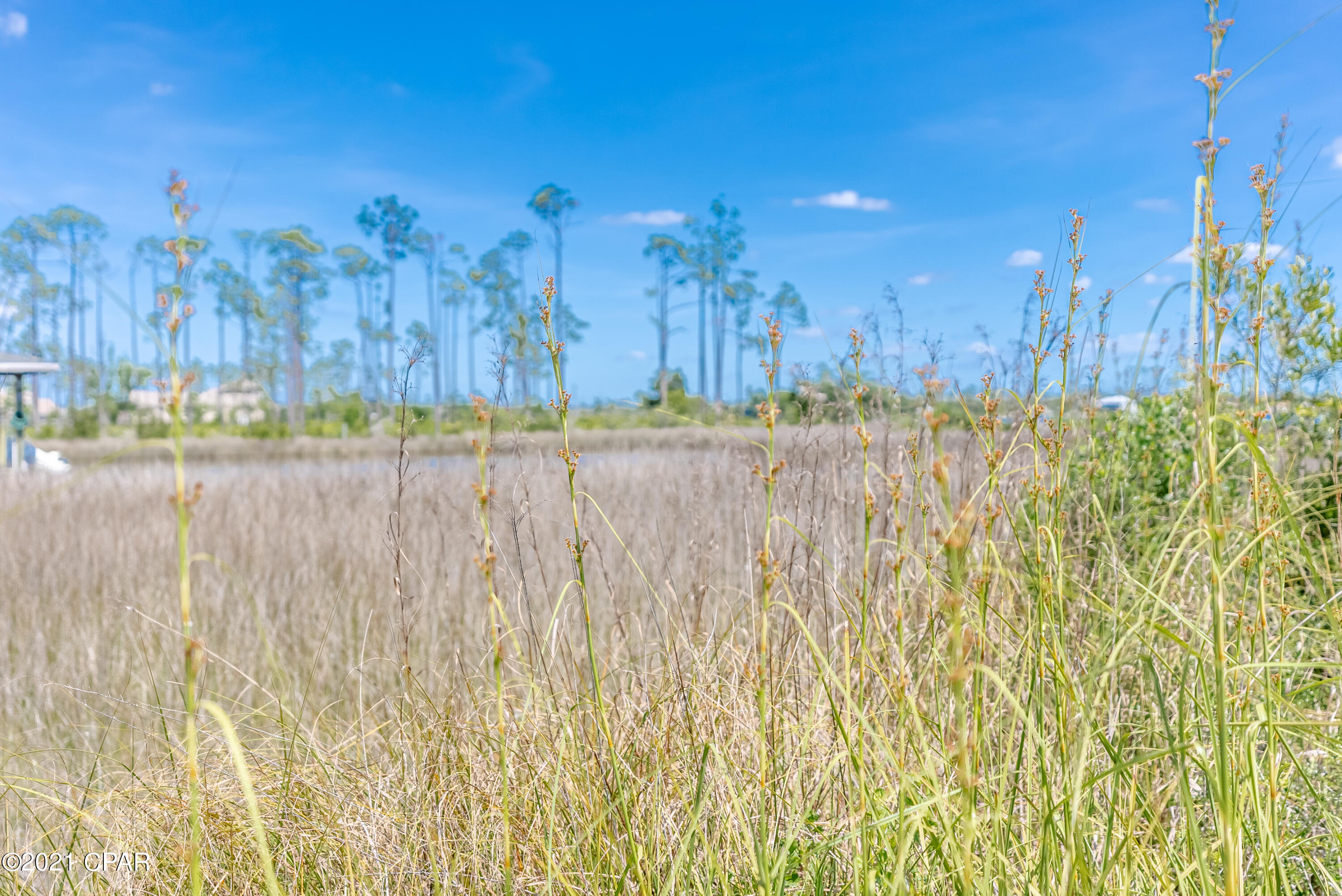 Laird Bayou - Residential