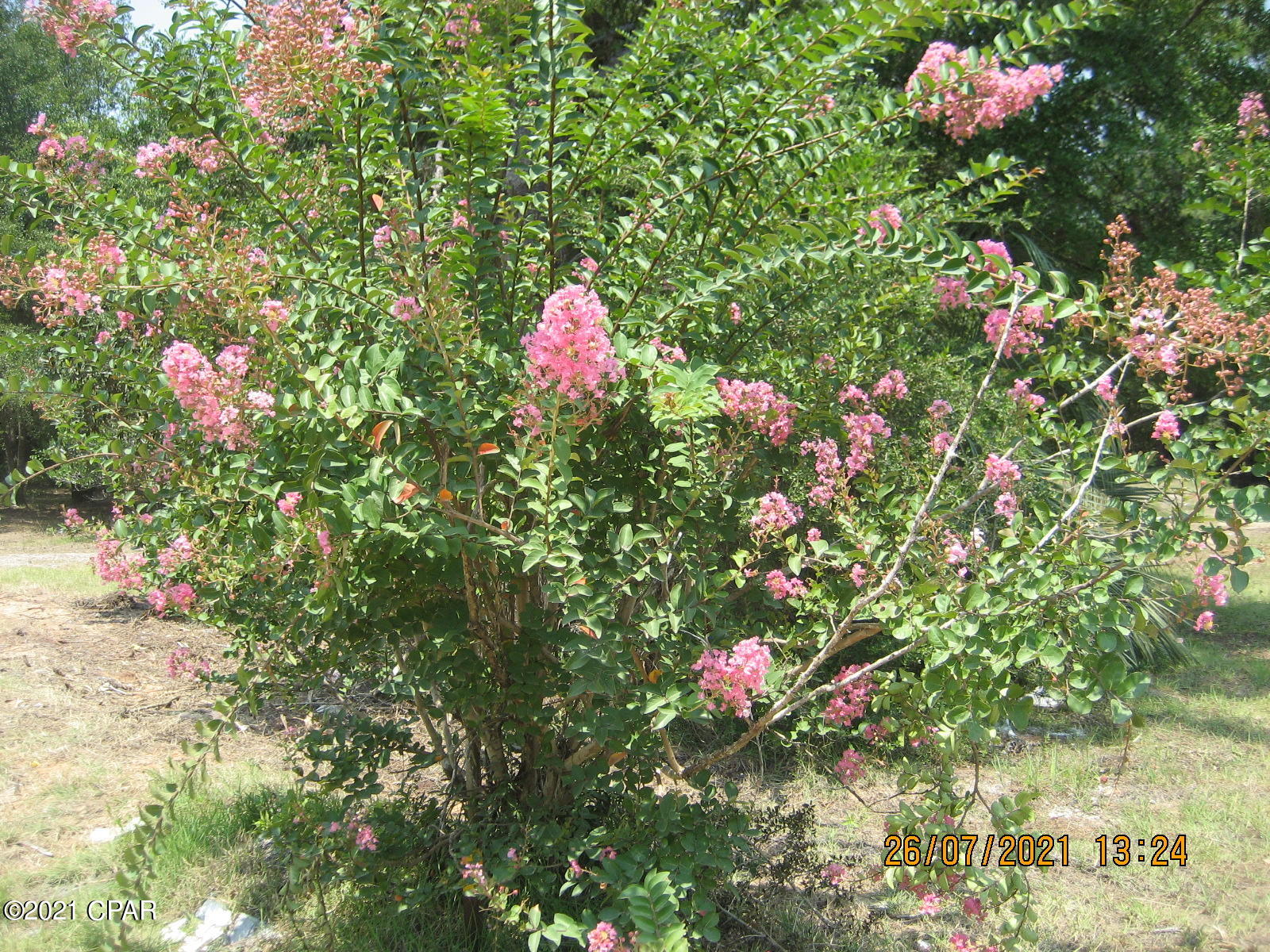 No Named Subdivision - Land