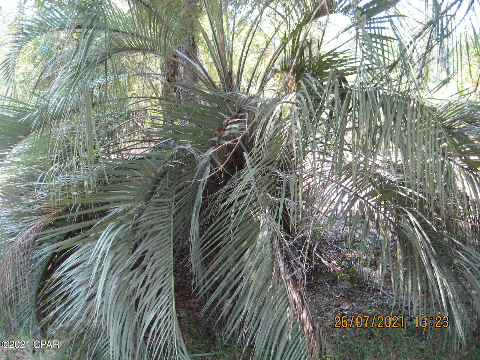 No Named Subdivision - Land