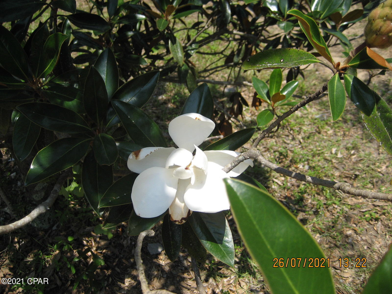 No Named Subdivision - Land