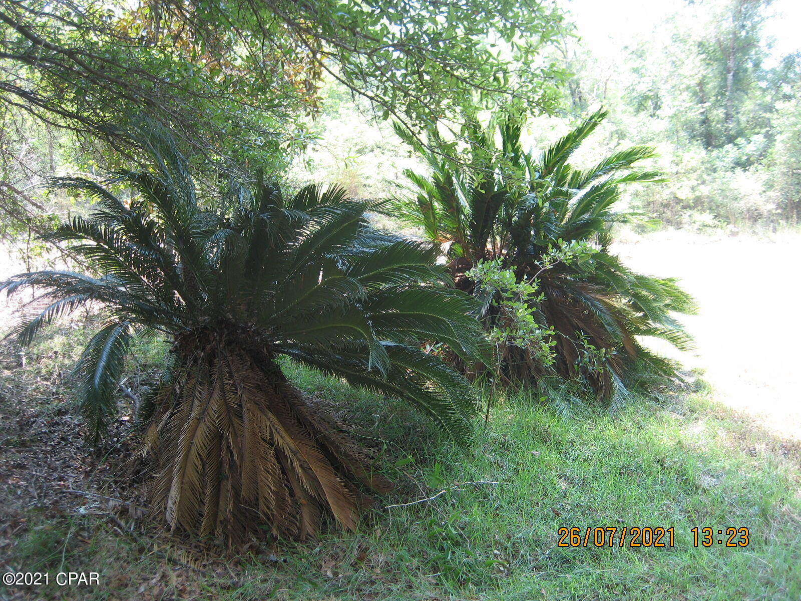 No Named Subdivision - Land