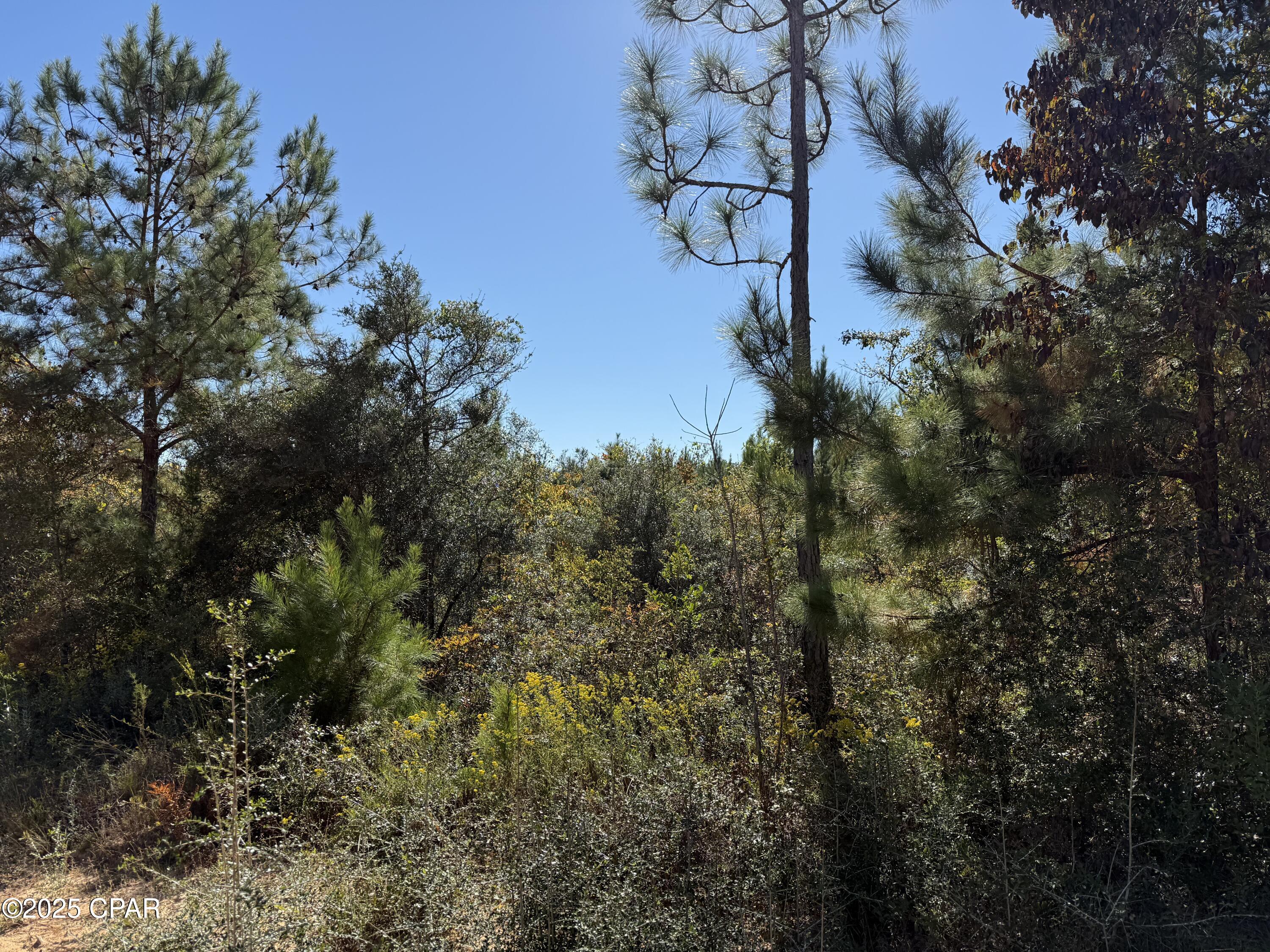 Compass Lake Hills Unit 3 - Land