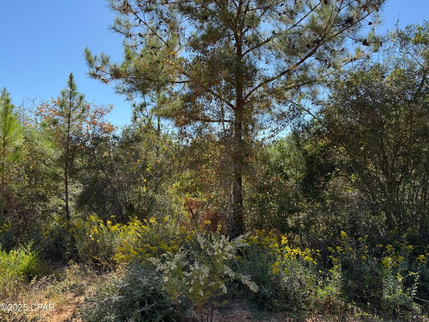 Beautiful lot in Compass Lake in the Hills located on a county maintained road up in the hills.  Quiet area with plenty of wildlife.  Mobile homes are now allowed or build your forever home on the 1.54 acre lot.  No city services provided.  Fishing and swimming are close by at Compass Lake or McCormick Lake.  Easy access to Panama City or Panama City beach or Tyndall AFB.  I-10 close by as well.  Enjoy dining at the German Restaurant know as Olie's at the Compass Lake in the Hills Lodge which has a Property Owners Association that is voluntary but comes with amenities.