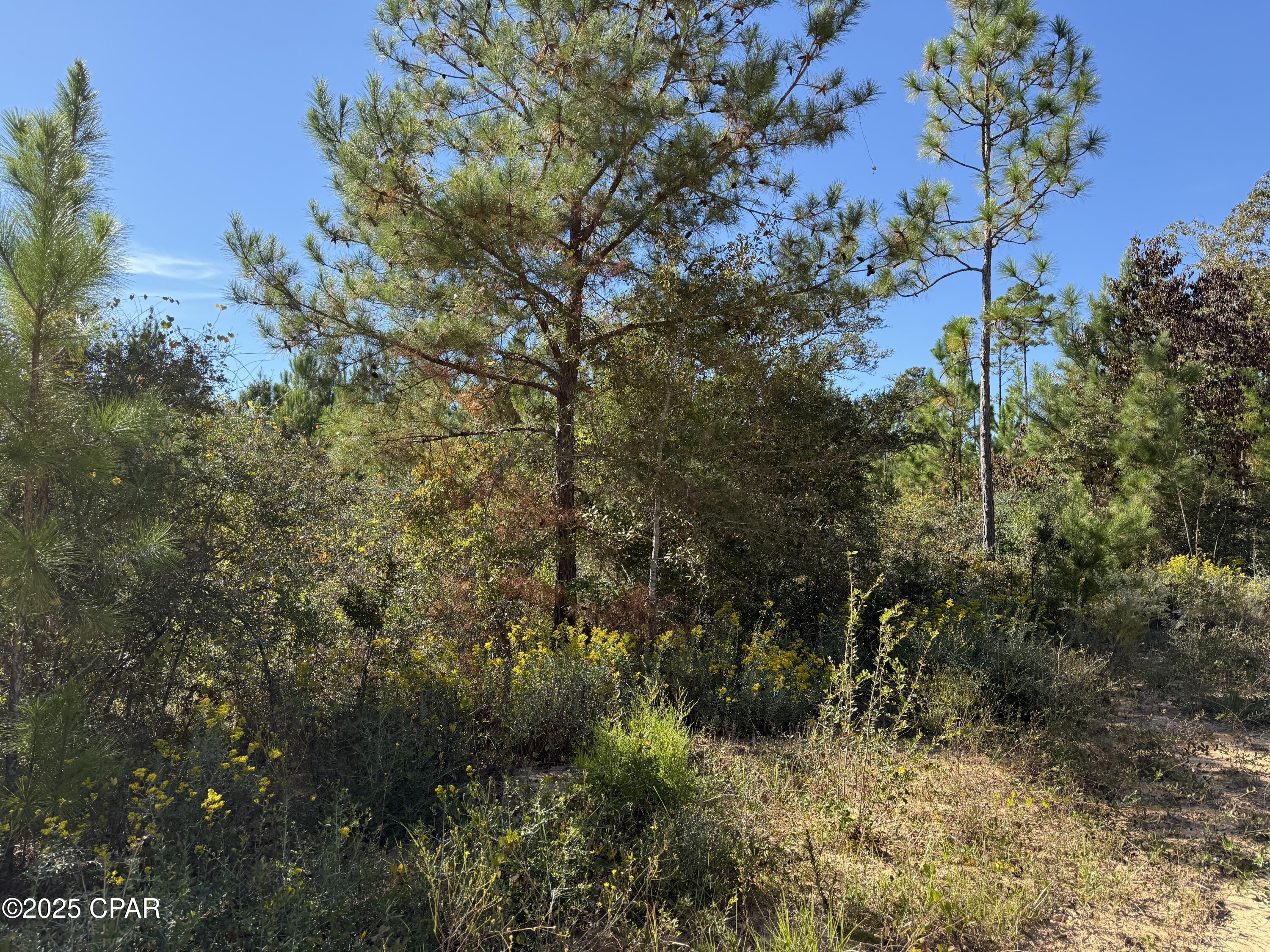 Compass Lake Hills Unit 3 - Land