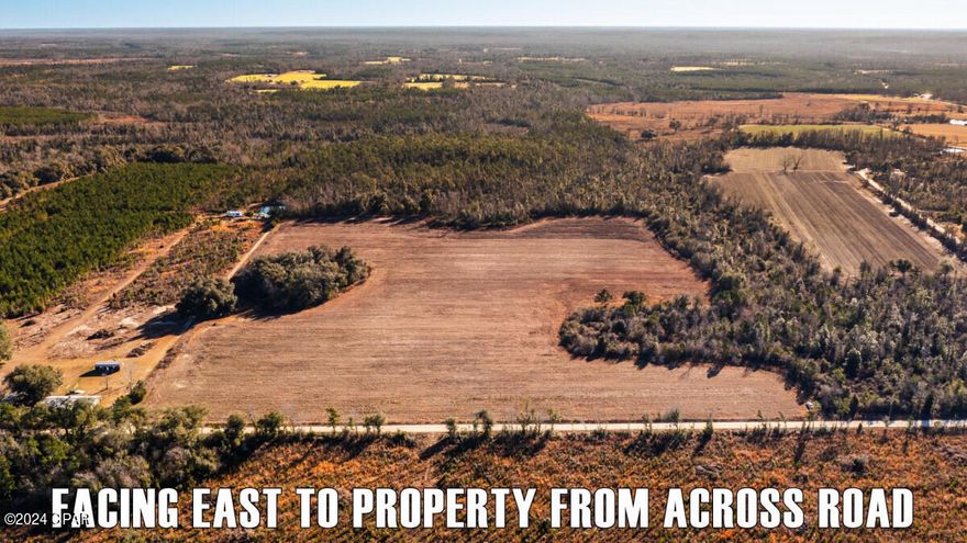 20 Acre split: This property is a homesteader's and farmer's dream, just south of the Georgia line. 
Come see this incredible North Florida agricultural acreage in Grand Ridge, Florida. The property is generally open and flat with abundant deer prints and other signs of wild game to be seen. The land was previously used to grow cotton and cotton can still be seen growing in rows across the property. This acreage is great for your homestead, crop field, hunting property, and many other uses you may have in mind. There's an Old Florida country side charm here where you're able to enjoy the lovely rural atmosphere with peace and quiet. Treeline Rd. is well maintained. Close to Rt 10.
