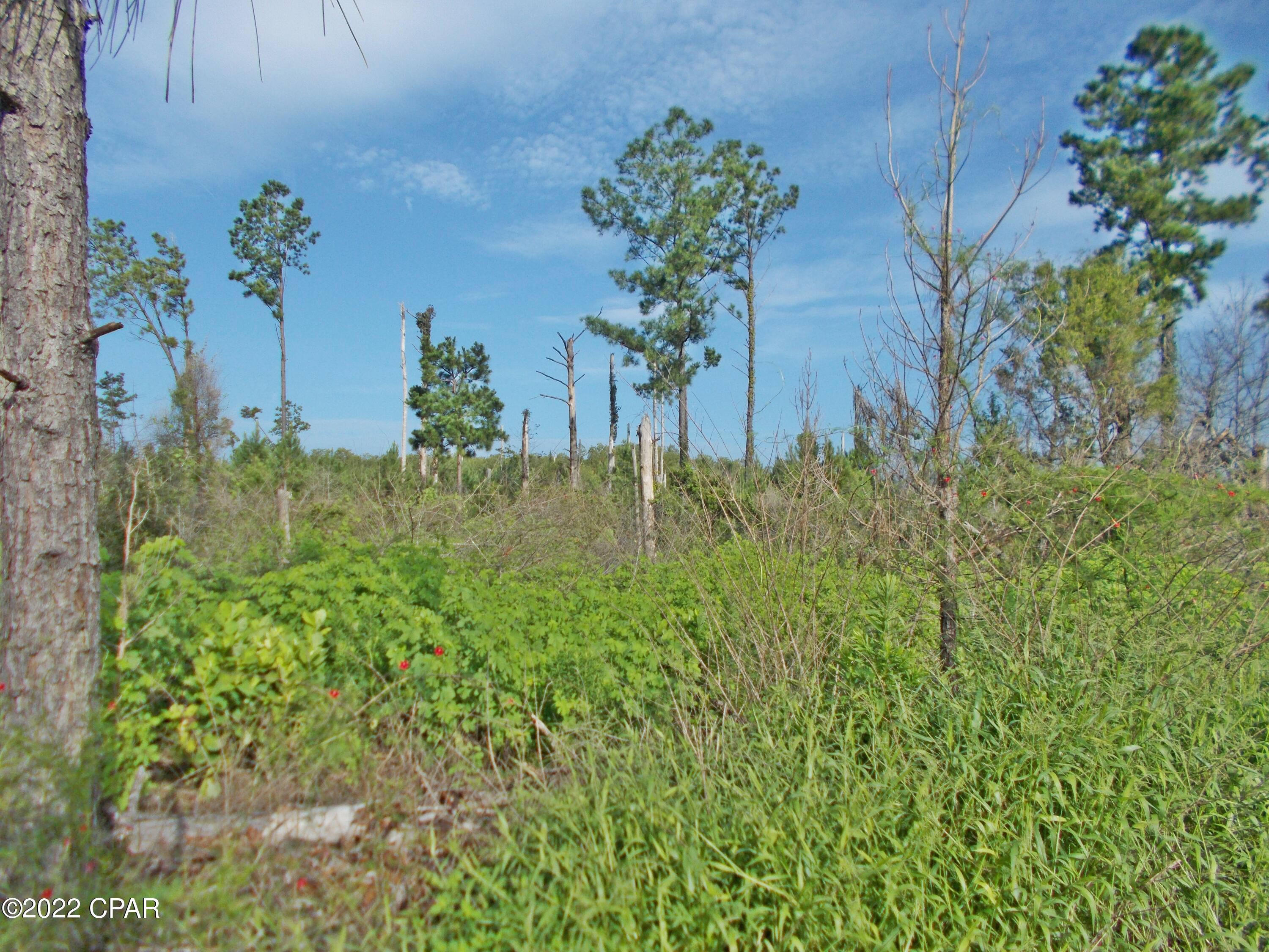 No Named Subdivision - Land