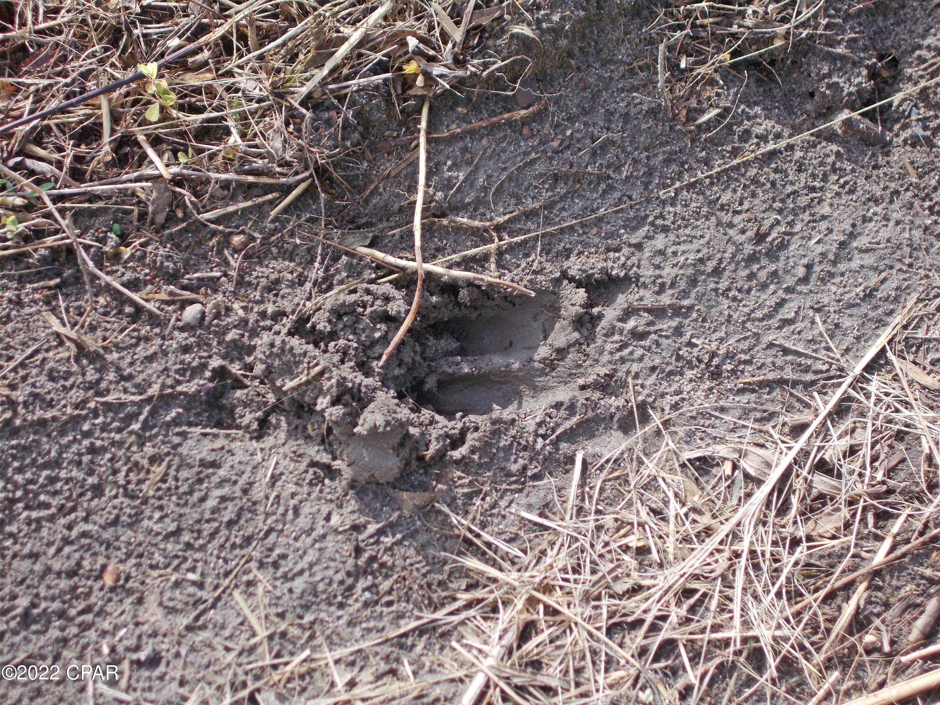 No Named Subdivision - Land