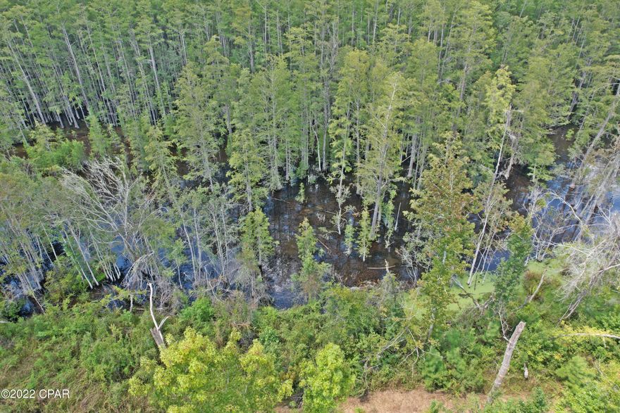 Nice 40 ac parcel with some scattered large pines and smaller trees, also a nice pond on the back of the property. Large deer tracks on the property. There is a lane mowed on the property for access, make your way to back of property and get a nice view of the water, Ideal homesite, farm site, hunting site, Camp. Make your own dream come true on this very nice parcel of land.