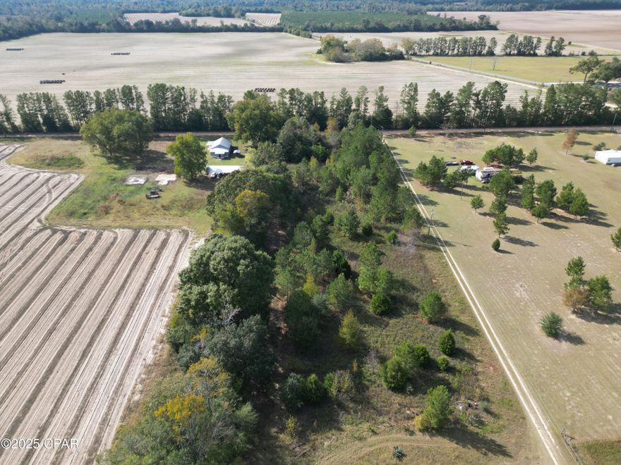 Welcome to your ideal homesite in charming Grand Ridge, Florida. Private and peaceful, this 2.82+/- acre property is set on a well-maintained county dirt road and offers a high and dry location, perfect for a new home build or mobile home.

Whether you're envisioning a peaceful retreat or an active hobby farm, this property has endless possibilities. If you have been dreaming of your own hobby farm, look no further! This spacious lot provides ample room for keeping animals, such as chickens, goats, or small livestock, as well as creating a beautiful garden to grow fresh vegetables and flowers.

In addition to enjoying a country living, fishing enthusiasts will appreciate the close proximity to recreational hotspots like Three Rivers State Park, Howell Landing, and Sneads Legion Park. In less than 15 minutes, you can launch your boat into the stunning Lake Seminole and enjoy some of the best fishing in Florida.

Nestled in a serene countryside setting, this property combines peace with convenience. While offering a private homesite, it is still within easy reach of local conveniences, making it perfect for anyone looking to establish a self-sufficient lifestyle or simply enjoy the quiet beauty of country living.

Don't miss this opportunity—contact us today to learn more about this fantastic property and make it yours!