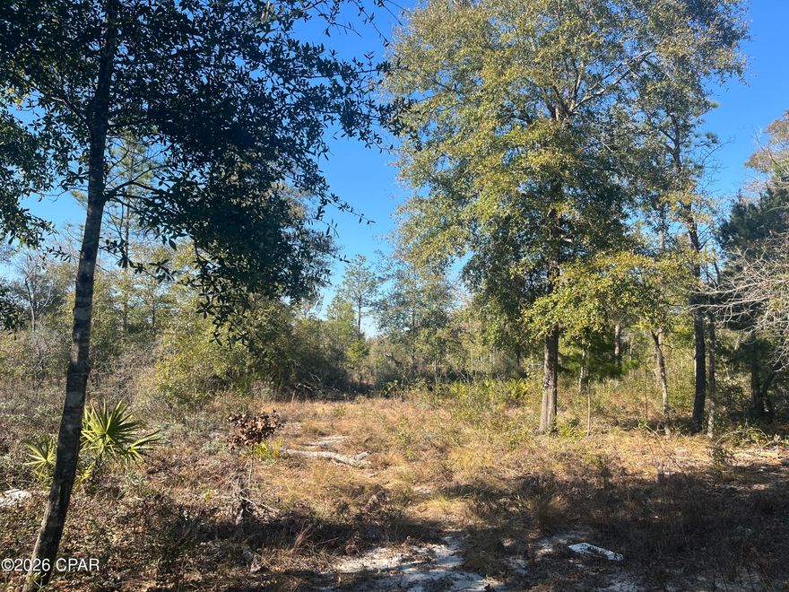 Check out this beautiful lot in Fountain, FL.  This large lot is .68 of an acre that is mostly cleared, with a few large trees.  There's plenty of room for a your future home, a pole barn, a swimming pool, a garden...whatever your heart desires!  Located close to the quiet town of Fountain, but far enough off of the HWY 231 so that you hear nothing but peace and quiet.  This property is less than an hour to the world's most beautiful beach,  and within 10 minutes to Hammond Lake, Bear Pond and Deep Springs Park for plenty of nearby swimming spots & outdoor recreation. Build your dream home or bring in a new mobile home. Make it your forever home, or have a vacation getaway in beautiful Bay Co. Florida.  Go see this affordable lot today! 

All measurements are approximate, please verify if important.