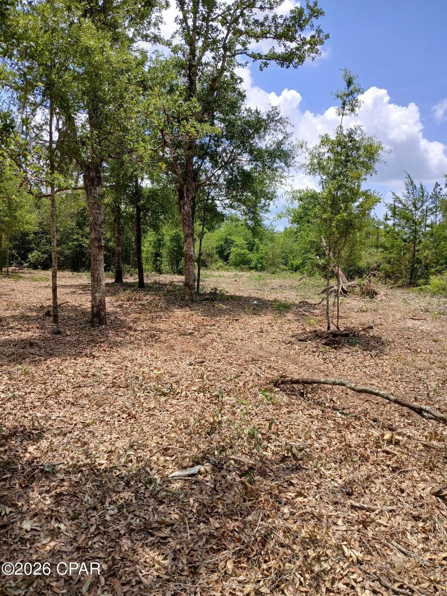 Come take a look at the beautiful lot in Fountain, FL.  This large lot is .68 of an acre that is mostly cleared, with a few large trees.  There's plenty of room for a your future home, a pole barn, a swimming pool, a garden...whatever your heart desires!  Located close to the quiet town of Fountain, but far enough off of the HWY 231 so that you hear nothing but peace and quiet.  Lot is about a 20 min hour to Interstate 10, and less than an hour to the world's most beautiful beach! This property is also within 10 minutes to Hammond Lake, Bear Pond and Deep Springs Park for plenty of nearby swimming spots & outdoor recreation. Build your dream home or bring in a new mobile home. Make it your forever home, or have a vacation getaway in beautiful Bay Co. Florida.  Go check it out this affordable lot today! Realtor sign to be place on 2-2 & more pics to come!

All measurements are approximate, please verify if important.