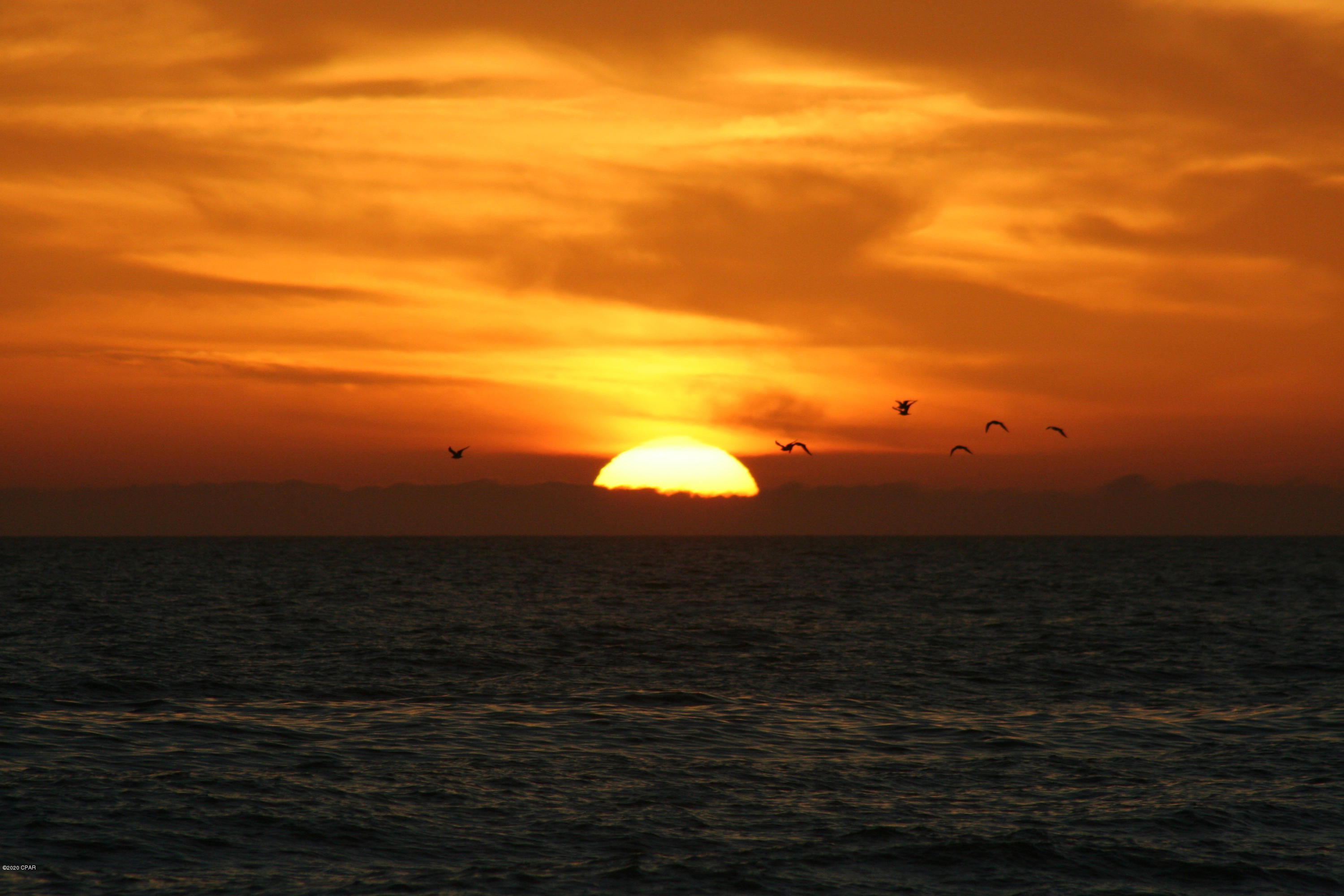 Shores Of Panama Phase I - Residential