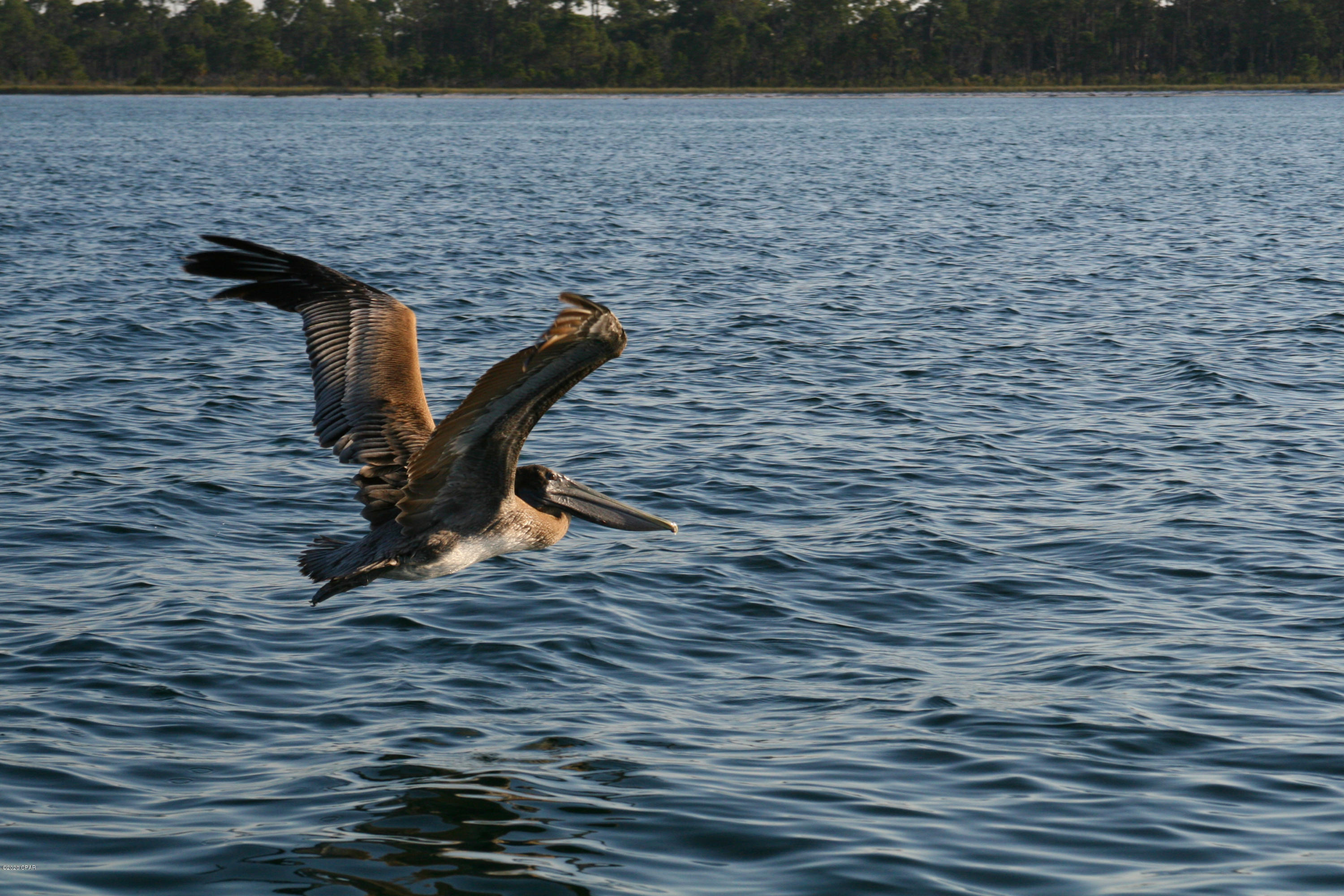 Shores Of Panama Phase I - Residential