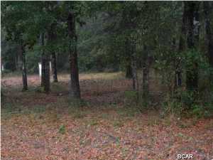 Douglas Landing - Land