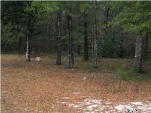 Douglas Landing - Land