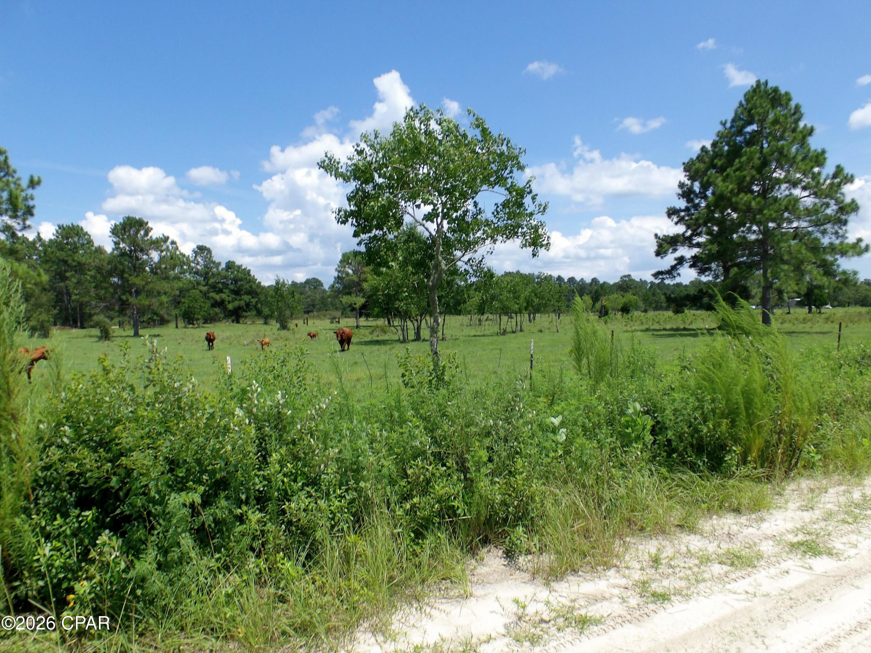 410 Foxchase Drive