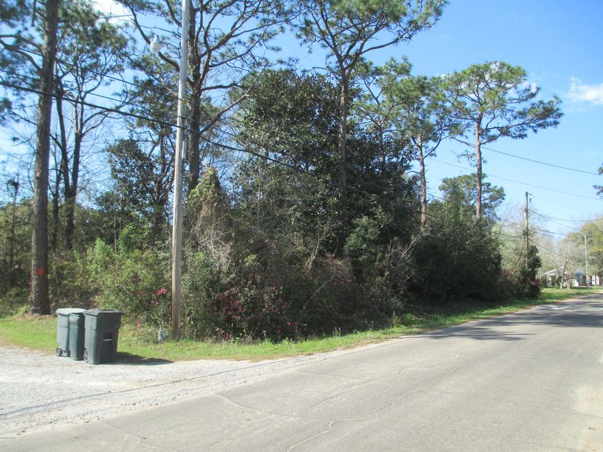 ALMOST a FULL Half Acre located in the Edge of Town 130' x 165'... Build your HOME with plenty of Yard Space..... This Property is ZONED Bay County. Call Bay County Planning & Zoning to Verify ANY Questions pertaining to Land Use and Water & Septic Requirements