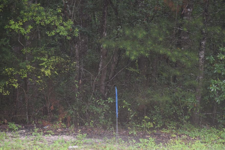 Beautiful land for your new home.