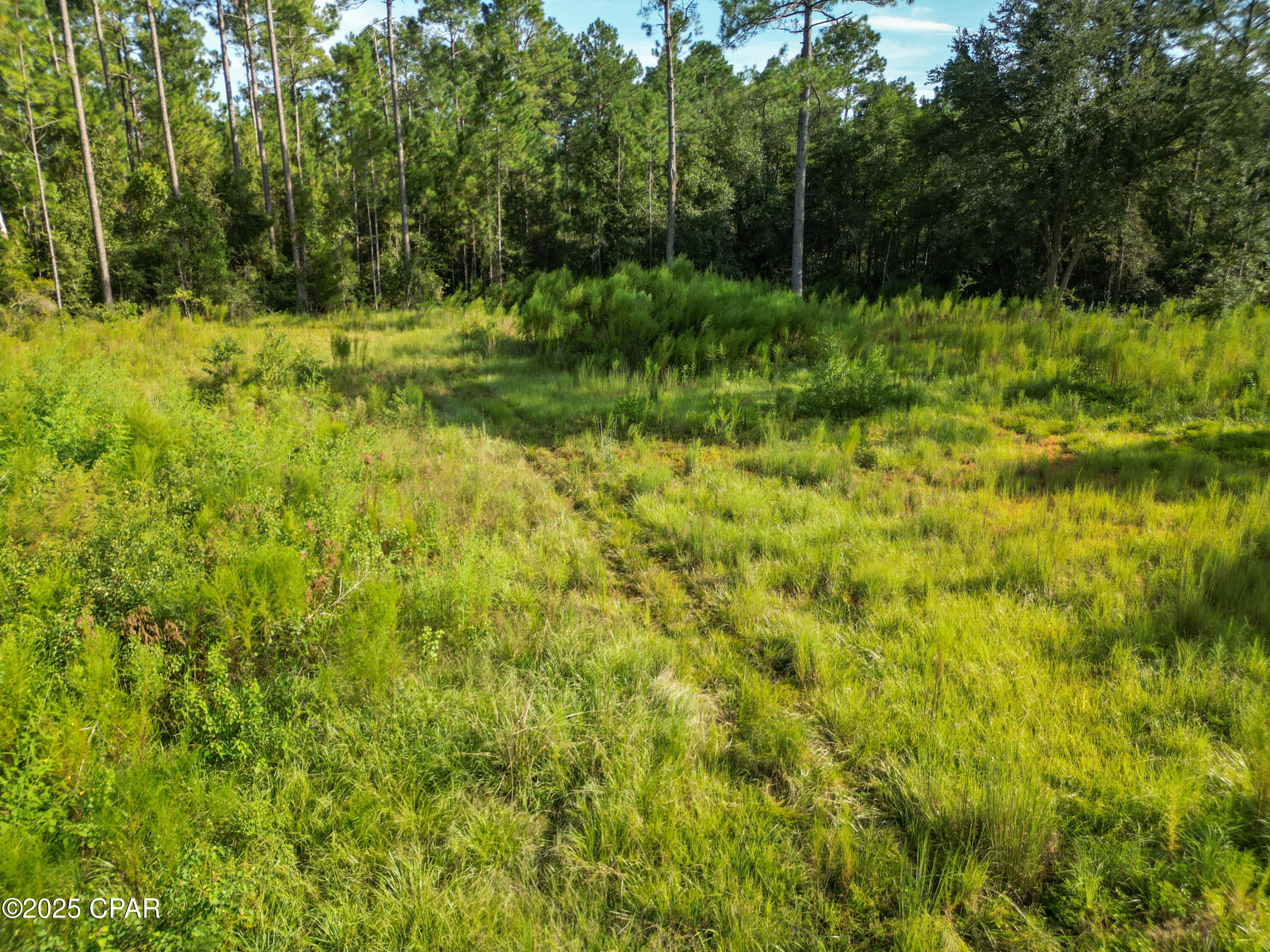 Cypress Crossing - Land