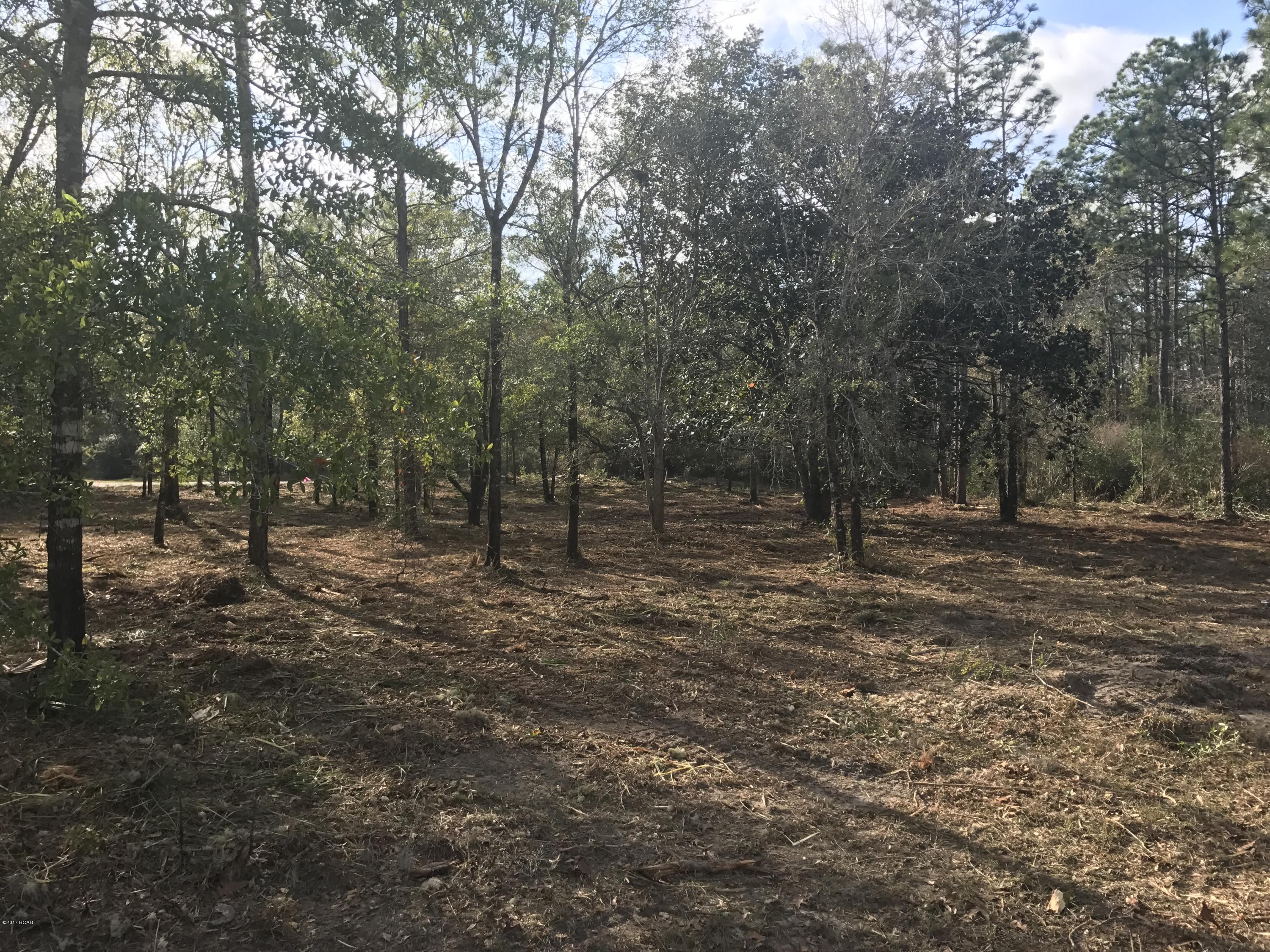 Cedar Creek Chase Ph 1 - Land