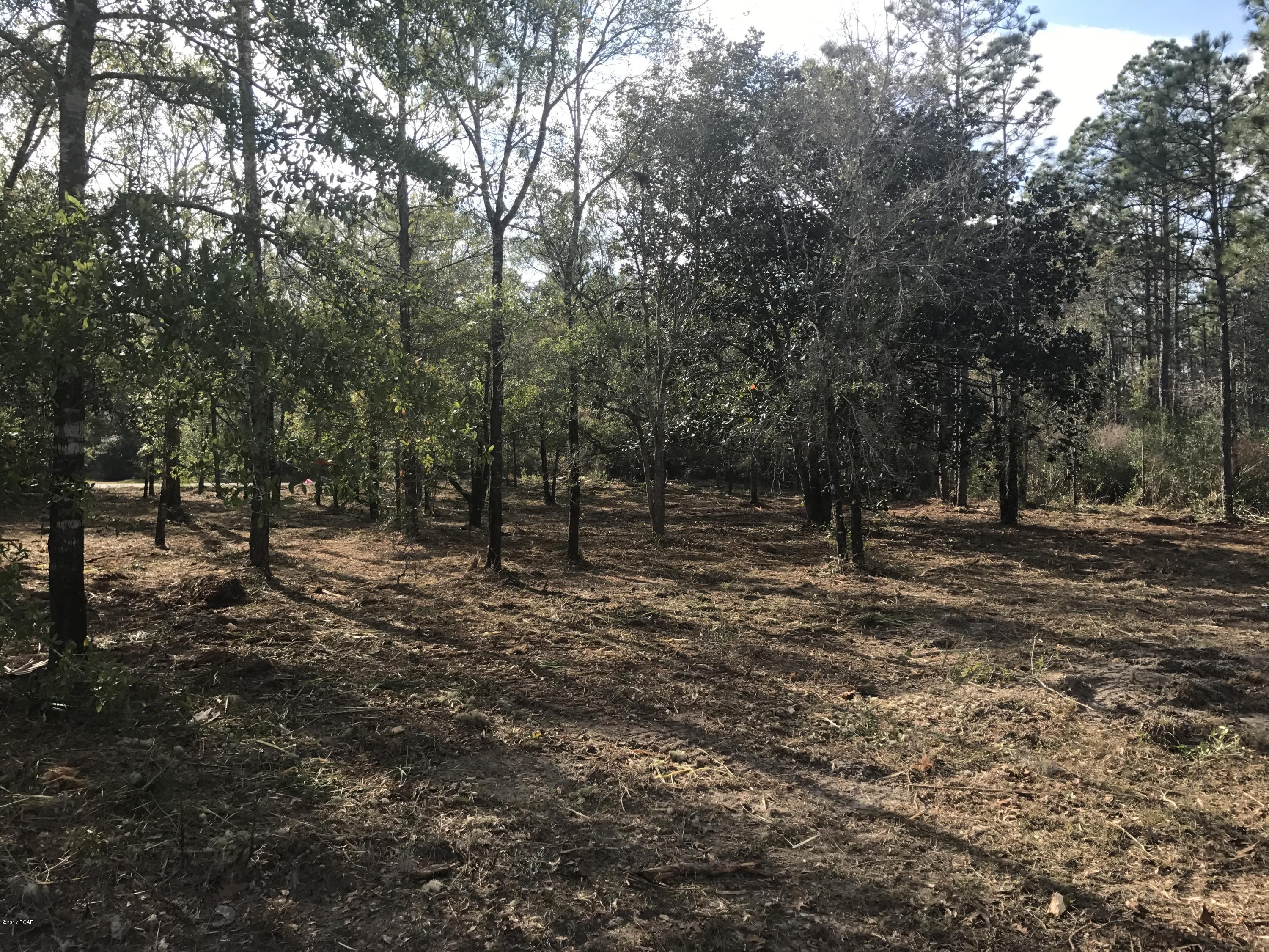 Cedar Creek Chase Ph 1 - Land