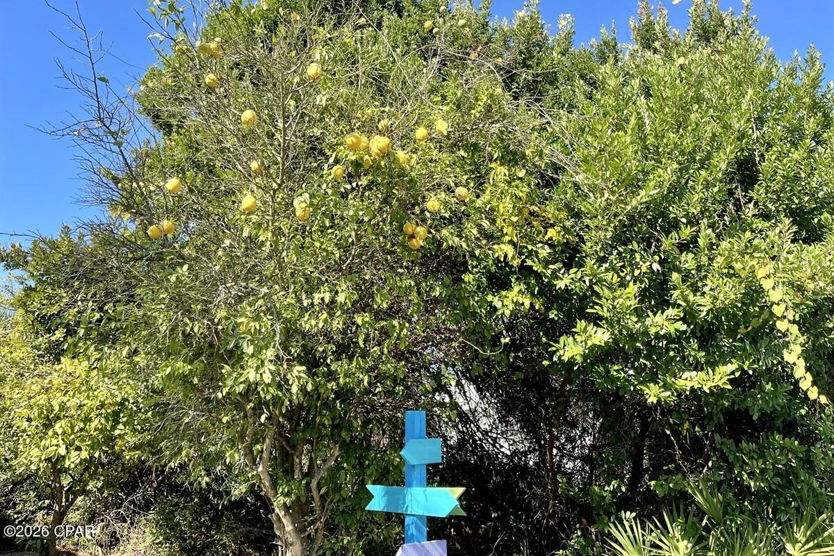 Wells Gulf Beach Estates - Residential