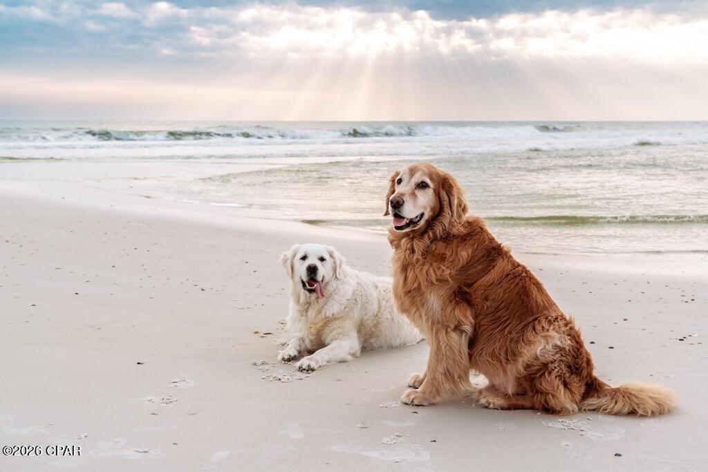 Park Point At Secluded Dunes - Land