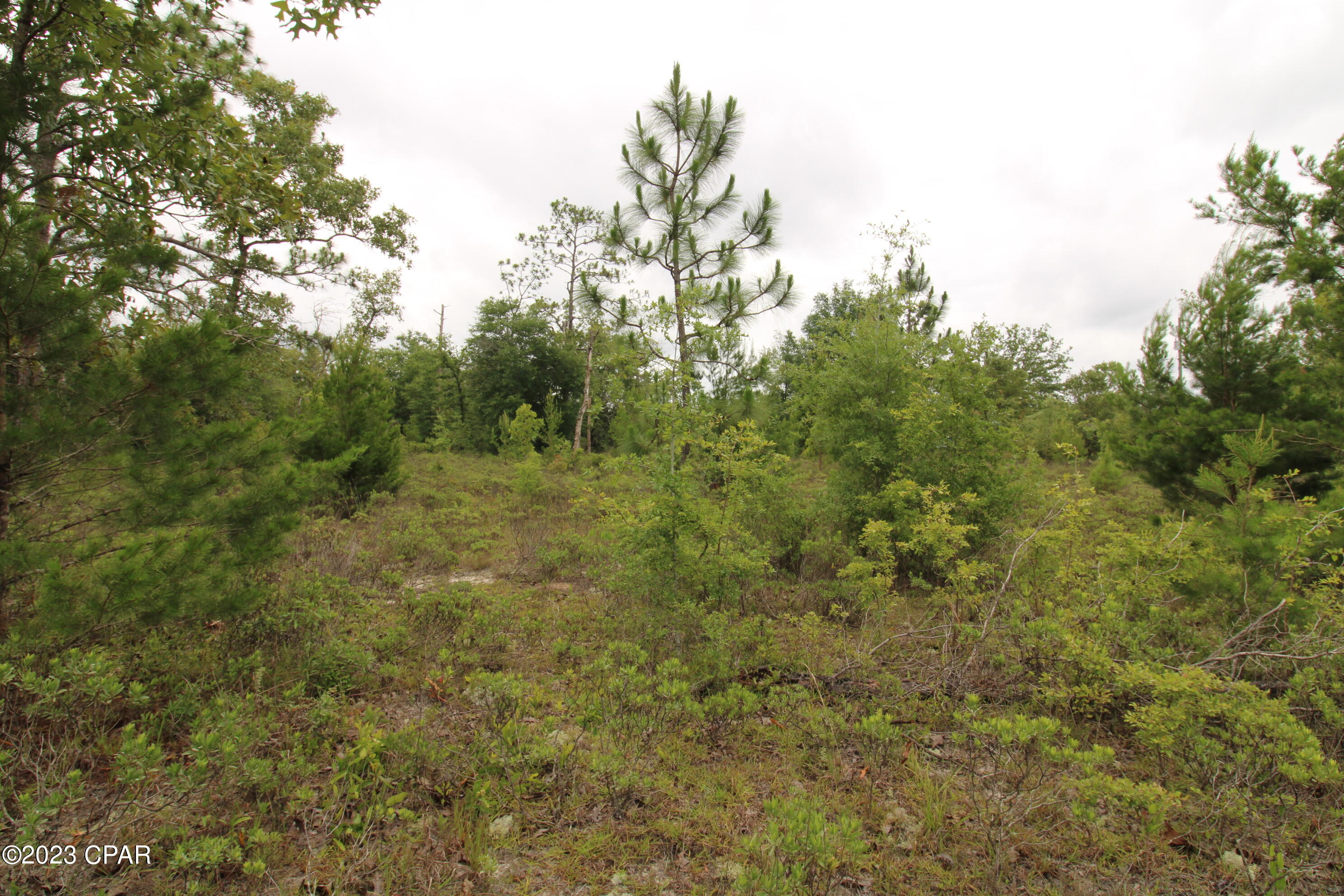 [No Recorded Subdiv] - Land