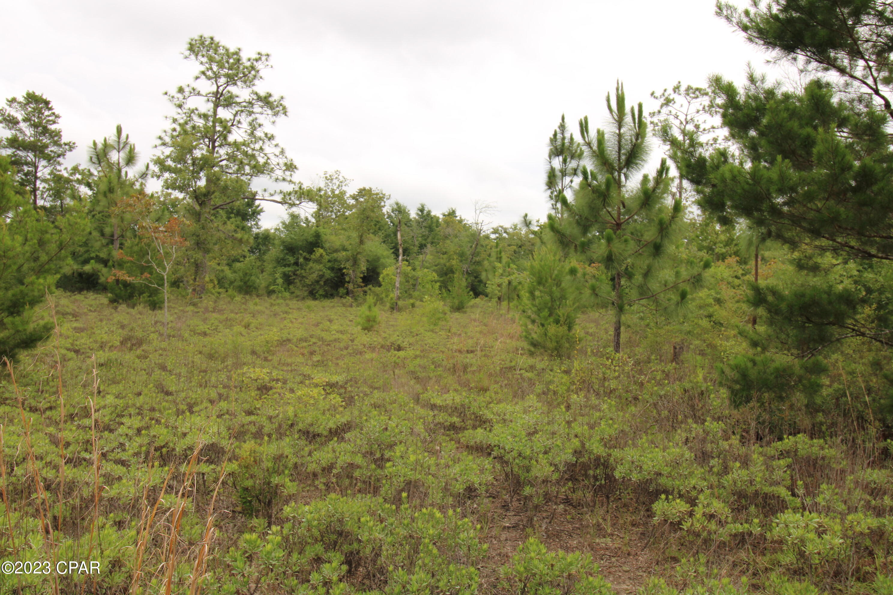 [No Recorded Subdiv] - Land