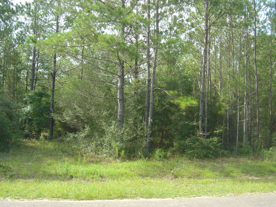 Excellent Compass Lake in the Hills residential lot with all the amenities of CLH. BUYER TO PAY ALL CLOSING COSTS EXCEPT DOC STAMPS ON THE DEED and commissions.  Buyer's account includes title ins., loan costs if any,closing fees, prorated taxes and assessments  Lot located on a paved rd and is an excellent location to Nortex and Hwy 167 and the lodge area.  Owner is a licenesed Realtor.