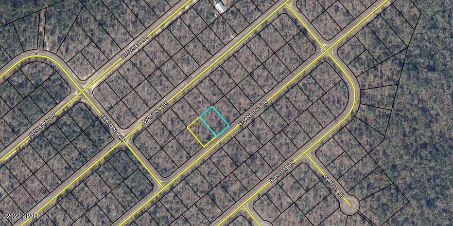 Wooded residential building lot in Unit 10.  Looking for two lots.  Buy both Lots 20 & 21.  They are priced to sell.  45 min drive MOL South to Panama City to Beaches.  North on Hwy 77 to I-10 to Chipley.  Lots of activities in this Subdivision.  Swimming at Boat Lake.  Fishing at Gap Lake.  Golf at Sunny Hills Golf Club.