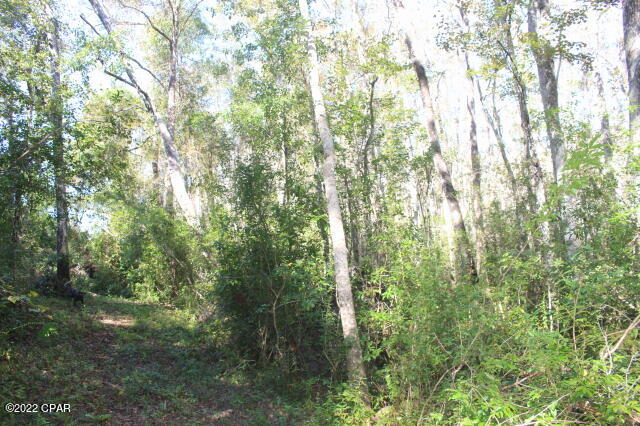 No Named Subdivision - Land