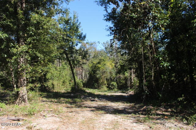 No Named Subdivision - Land